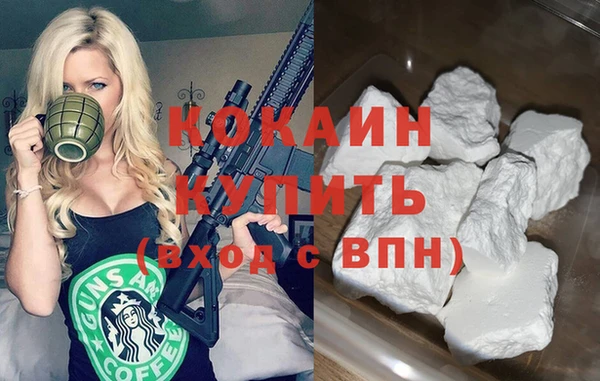 дживик Белокуриха
