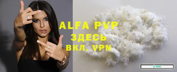 дживик Белокуриха
