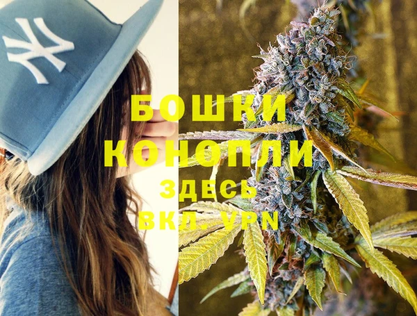 дживик Белоозёрский