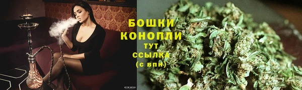 дживик Белокуриха