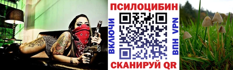Псилоцибиновые грибы прущие грибы где купить наркотик Миньяр